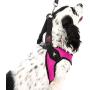 Gooby Dog Harness - Escape Free Easy Fit Patented Step-in Small Dog Harness - Perfect on The Go - No Pull Harness for Small Dogs or Cat Harness for Indoor and Outdoor Use