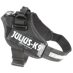 Julius-K9 16IDC P1+ IDC PowerHarness with Security Lock for Dogs, Size: 1, Black