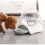 JS Automatic Replenish Gravity Waterer, Pet Automatic Water Dispenser Detachable, Water Drinking Fountain, Slow Feeder Water for Dogs, Cats or Small Pets JS Automatic Replenish Gravity Waterer, Pet Automatic Water Dispenser Detachable, Water Drinking Fountain, Slow Feeder Water for Dogs, Cats or Small Pets