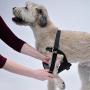 Easy Rider Adjustable Car Harness