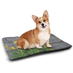 DayDayFun Yellow Flower Pet Mat Abstract Frame Yellow Tulip and Blue Forget Me Knot Blooms Bouquets pet Bed for Crate Mustard Fern Green