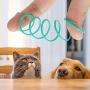 Interactive Cat Toy, Durable Cat Interactive Toy, 12PCS Professional Dog for Pet Cat Cat Spring Toy Interactive Toy