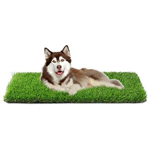 Artificial Grass, Professional Dog Grass Mat, Grass Pee Pad for Pet, Dog Potty Training Rug with Drainage Holes - Easy to Clean, Fake Turf for Indoor & Outdoor Patio Decor