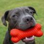 Playology All-Natural Scented Dual Layer Bone