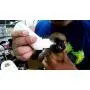 2 Set of Feeding Bottle Set for Pets, Hand Feeding kit for Nursing Puppies, Kitten and Other Animals, by Prime Shopping Online 2 Set of Feeding Bottle Set for Pets, Hand Feeding kit for Nursing Puppies, Kitten and Other Animals, by Prime Shopping Online