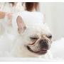 meinno 2 in 1 Dog Brush Bath Massage Brush,Shampoo Dispenser for Pet Grooming, Pet Grooming Tool with Soft Silicone Bristles to Give Gentle Massage for Dogs and Cats