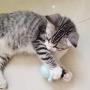 ocijf179 Cat Toy Octopus Shape Pet Cats Molar Rotatable Ball Interactive Bite Chew Catnip Toy - Blue