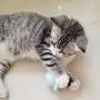 ocijf179 Cat Toy Octopus Shape Pet Cats Molar Rotatable Ball Interactive Bite Chew Catnip Toy - Blue ocijf179 Cat Toy Octopus Shape Pet Cats Molar Rotatable Ball Interactive Bite Chew Catnip Toy - Blue