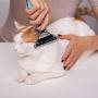PETNURSE Pet Deshedding Brush,Professional Deshedding Grooming Tool,Effectively Reduces Shedding by Up to 95% for Dogs & Cats