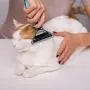 PETNURSE Pet Deshedding Brush,Professional Deshedding Grooming Tool,Effectively Reduces Shedding by Up to 95% for Dogs & Cats PETNURSE Pet Deshedding Brush,Professional Deshedding Grooming Tool,Effectively Reduces Shedding by Up to 95% for Dogs & Cats