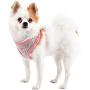 Pinkaholic New York Margaux Harness - Indian Pink - L