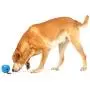 OurPets Buster Food Cube Interactive Dog Toy (Colors Vary)