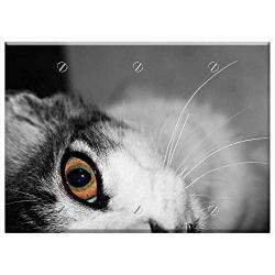 Triple Blank Wall Plate Cover - Cat Feline Cat Head Pet Animal Gata