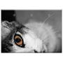Triple Blank Wall Plate Cover - Cat Feline Cat Head Pet Animal Gata