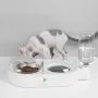 Double Dog Cat Bowls, Gravity Food and Water Bowl, Pet Automatic Drinking Dispenser Detachable Transparent Glass Feeder Bowls No-Spill Raised Bowl for Small Dogs and Cats Double Dog Cat Bowls, Gravity Food and Water Bowl, Pet Automatic Drinking Dispenser Detachable Transparent Glass Feeder Bowls No-Spill Raised Bowl for Small Dogs and Cats
