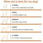 Amazon Basics Cooling Elevated Pet Bed