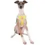 Pinkaholic New York Puppia Pinkaholic New York Puppia