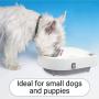 Cat Mate C300 Automatic 3 Meal Pet Feeder with Digital Timer for Cats and Small Dogs
