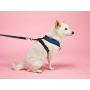 Gooby Dog Harness - Comfort X Head-in Small Dog Harness with Patented Choke-Free X Frame - Perfect on The Go No Pull Harness for Small Dogs or Cat Harness