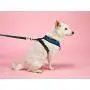 Gooby Dog Harness - Comfort X Head-in Small Dog Harness with Patented Choke-Free X Frame - Perfect on The Go No Pull Harness for Small Dogs or Cat Harness Gooby Dog Harness - Comfort X Head-in Small Dog Harness with Patented Choke-Free X Frame - Perfect on The Go No Pull Harness for Small Dogs or Cat Harness