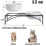 Y YHY Cat Bowls,Elevated Cat Food and Water Bowls with Stand,Raised Pet Bowls for Cats or Dogs,Ceramic Cat Dishes,12 Ounces,Microwave and Dishwasher Safe