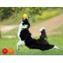 Kei Tomlison Rubber Dog Chewing Squeaky Ball Toys Fetch Play Toy for Puppy Small Medium Pets Dog Cat Pack of 3