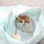 Large Comfortable Cat Tunnel with Scratching Ball and Cushion, Collapsible Play Toy Tube Fun for Kittens and Cats