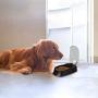 PAWISE Automatic Pet Feeder Food Dispenser with Timer for Cats and Dogs (1 Meal)