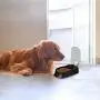 PAWISE Automatic Pet Feeder Food Dispenser with Timer for Cats and Dogs (1 Meal) PAWISE Automatic Pet Feeder Food Dispenser with Timer for Cats and Dogs (1 Meal)
