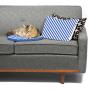 Tabby James Cat Bed for Everyday Cat Naps, Available in 7 Colors/Designs, Luxuriously Soft, 15” Diameter, Prevents Fur on Couch, Kitty NAP PAD