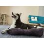 Coohom Rectangle Washable Dog Bed,Warming Comfortable Square Pet Bed Simple Design Style,Durable Dog Crate Bed for Medium Large Dogs (30 INCH, Purple)