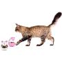 PORTOWN 4 Pcs Cat Food Ball Dispenser, Small Cat Food Balls Slow Feeder Mice Shaped Tumbler Cat Food Toy Cat Treat Toy Feeder Toy for Interactive IQ Treat Training(Pink,White)