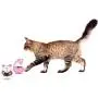 PORTOWN 4 Pcs Cat Food Ball Dispenser, Small Cat Food Balls Slow Feeder Mice Shaped Tumbler Cat Food Toy Cat Treat Toy Feeder Toy for Interactive IQ Treat Training(Pink,White) PORTOWN 4 Pcs Cat Food Ball Dispenser, Small Cat Food Balls Slow Feeder Mice Shaped Tumbler Cat Food Toy Cat Treat Toy Feeder Toy for Interactive IQ Treat Training(Pink,White)