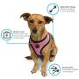 Paws & Pals Pet Control Harness for Dog & Cat Easy Soft Walking Collar