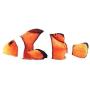 pepoot Catnip Toys Kitten Toys Cat Toy Fish Plush Fishes Dolls Interactive Pets Pillow Chew Toys for Cats Pet Supplies for Kitty