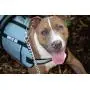 Service Dog Vest Harness for Medium and Large Dogs of All Breed with Grip Handle, Reflective Safety Strap and Side Certification Display Pockets Service Dog Vest Harness for Medium and Large Dogs of All Breed with Grip Handle, Reflective Safety Strap and Side Certification Display Pockets