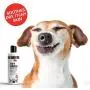 Vet Derm Solutions Super Hydrating & Conditioning Pet Shampoo-Veterinarian & Dermatologist Formulated-Soothes Dry Itchy Skin and Reduces Flakes-Paraben & Sulfate-Free, Tear-Free-16oz Vet Derm Solutions Super Hydrating & Conditioning Pet Shampoo-Veterinarian & Dermatologist Formulated-Soothes Dry Itchy Skin and Reduces Flakes-Paraben & Sulfate-Free, Tear-Free-16oz