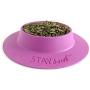 STAYbowl Tip-Proof Bowl for Guinea Pigs and Other Small Pets - Lilac (Purple) - Large 3/4 Cup Size New