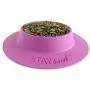 STAYbowl Tip-Proof Bowl for Guinea Pigs and Other Small Pets - Lilac (Purple) - Large 3/4 Cup Size New STAYbowl Tip-Proof Bowl for Guinea Pigs and Other Small Pets - Lilac (Purple) - Large 3/4 Cup Size New