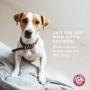 Arm & Hammer Air Care Calming Reed Diffuser for Pets