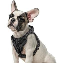 rabbitgoo Dog Harness No Pull, Adjustable Dog Walking Harness with 2 Metal Clips & Shock-Absorbing Bungee Straps, Soft Padded Pet Vest Chest Harness Reflective with Handle for Medium Dogs (Black, M)