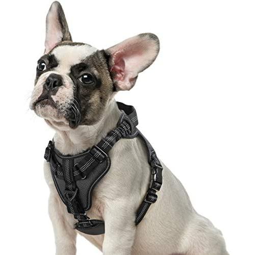 rabbitgoo Dog Harness No Pull, Adjustable Dog Walking Harness with 2 Metal Clips & Shock-Absorbing Bungee Straps, Soft Padded Pet Vest Chest Harness Reflective with Handle for Medium Dogs (Black, M)