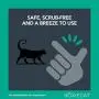 Boxiecat Premium Scented Stain & Odor Remover, 1 gallon Boxiecat Premium Scented Stain & Odor Remover, 1 gallon