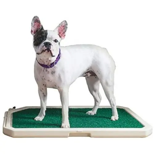 PetSafe Piddle Place Indoor/Outdoor Dog Potty, Alternative to Puppy Pads, Indoor Restroom for Dogs