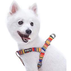 Blueberry Pet Essentials Step-in Nautical Flags Inspired Designer Dog Harness