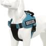 Chais Choice Service Dog Vest Harness Best 2 Reflective Service Dog Patches and Sturdy Handle. Small to Large Breed. 8 Colors and Matching Padded Leash Available. Sizing Chart at Left