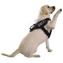 Dogline Emotional Support Animal Patch for Dog Harness and Vest | ESA Removable 3D Rubber Patches | Hook Backing for Small or Large Service Dogs
