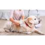 BLINKEEN Dog Brush & Cat Brush for Shedding and Grooming,Pet Slicker Brush for Dogs & Cats with Long or Short Hair