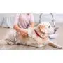BLINKEEN Dog Brush & Cat Brush for Shedding and Grooming,Pet Slicker Brush for Dogs & Cats with Long or Short Hair BLINKEEN Dog Brush & Cat Brush for Shedding and Grooming,Pet Slicker Brush for Dogs & Cats with Long or Short Hair