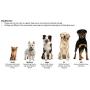 Petface Archies Oval Dog Bed